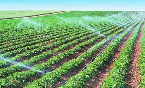 想想插入我的网站农田高 效节水灌溉